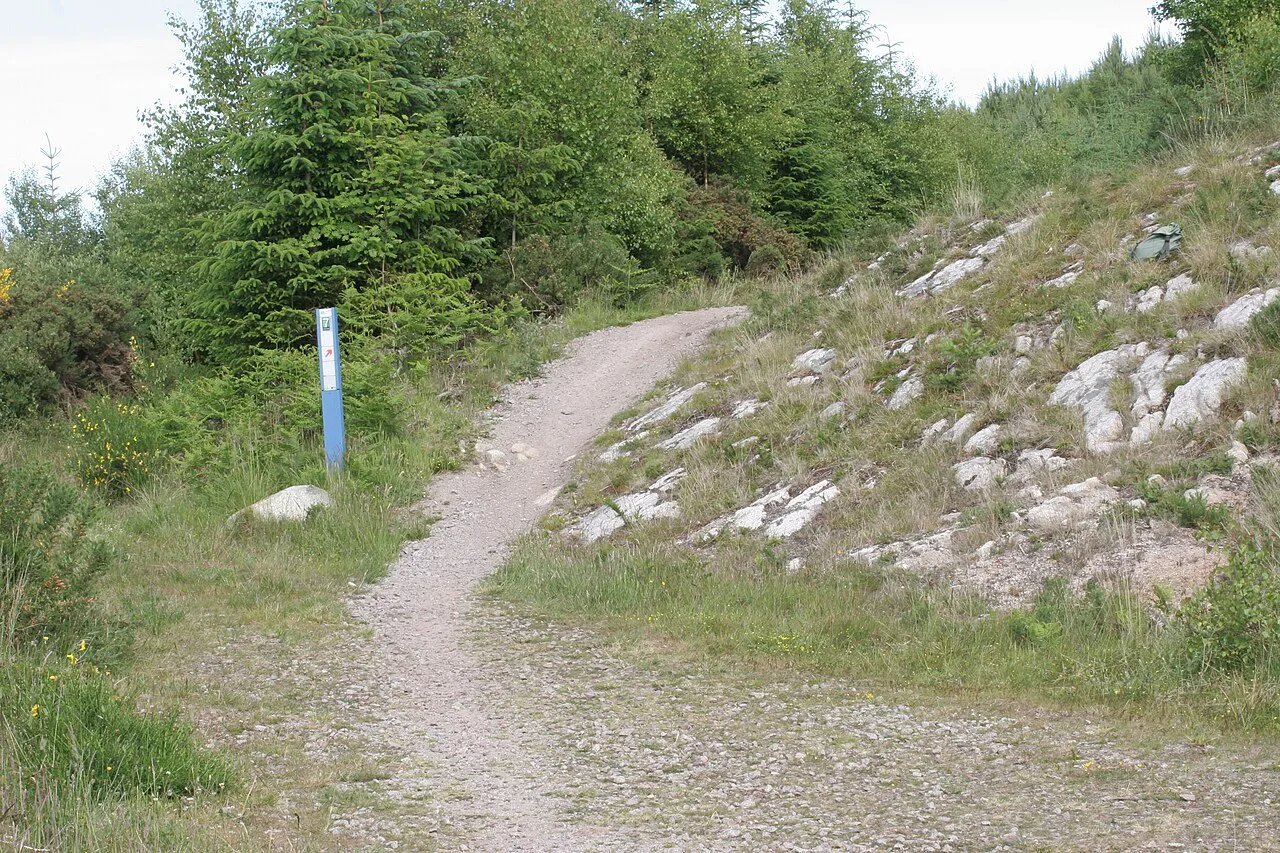 Gravelpad voor mountainbikers door rotsachtig boslandschap — vergelijkbaar met mtb-routes in de Ardennen