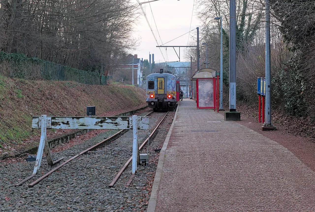 Trein rijdt het station Spa-Géronst binnen tijdens het gouden uur in de Belgische Ardennen